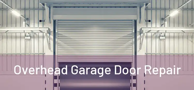  Overhead Garage Door Repair 